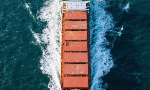 We Launches Direct-to-Market Wholesale Walnut Kernels to Middle East with HACCP/BRC-Certified Quality