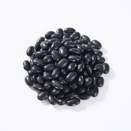 China Manufacture Wholesale Black Beans Bulk | 20lb Bulk Packs | Food Service & OEM Customization