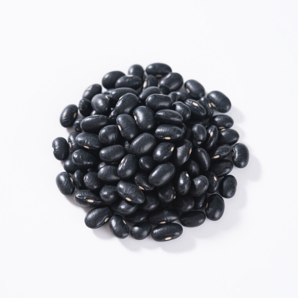 China Manufacture Wholesale Black Beans Bulk | 20lb Bulk Packs | Food Service & OEM Customization
