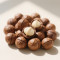 Milky Flavor Macadamia Nuts | Creamy & Smooth | Gourmet Snack for Wholesale