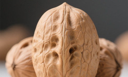 How to Store Walnuts for Long-Term Preservation