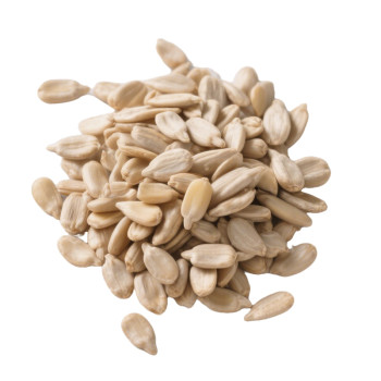 Wholesale Sunflower Seed Kernels | Rich in Fiber | Bulk, Affordable | B2B Snack Manufacturers