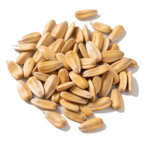 Toptan Beyaz Ayçiçeği Tohumları | Vitaminler Açısından Zengin | Sağlıklı Atıştırmalık Seçeneği | B2B Toplu Siparişler