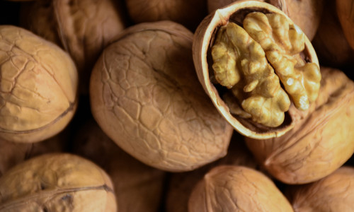 Amid Trade Tensions, Wushi County Sunshine Agricultural Products Co., Ltd. Gains Global Traction with Premium Nuts