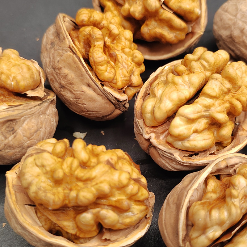 Wholesale Walnuts