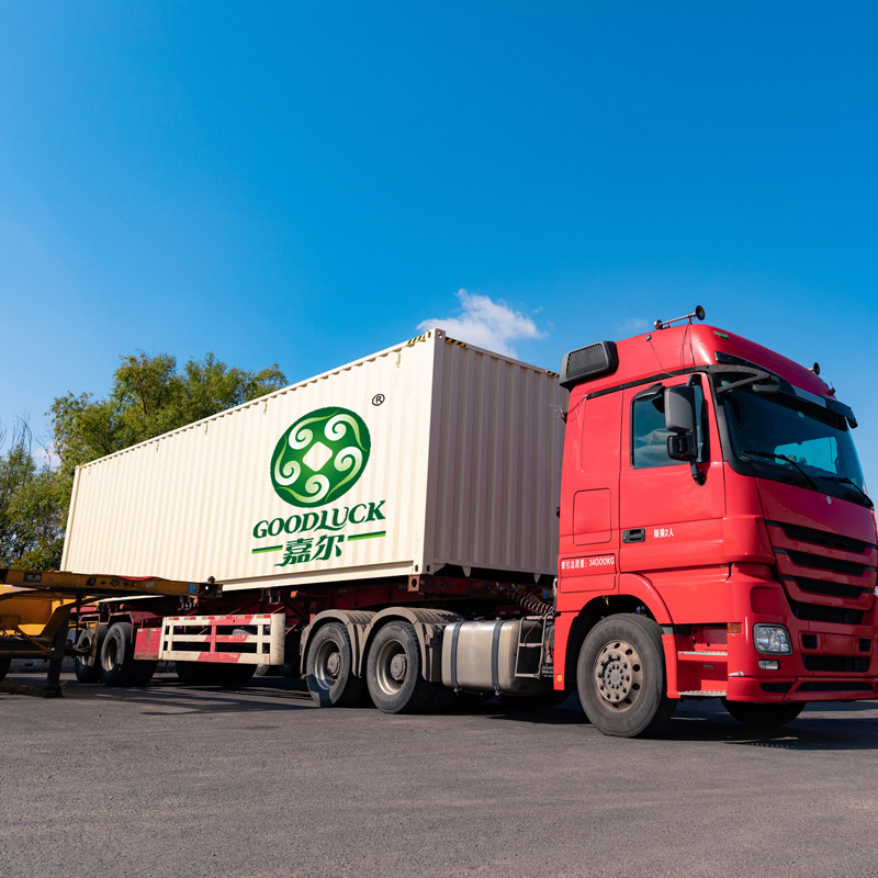 Wholesale Walnuts