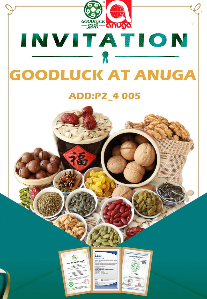 Wholesale Walnuts