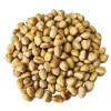 Wholesale Hazelnuts for Sale Premium Bulk Hazelnut Kernels Direct from Factory