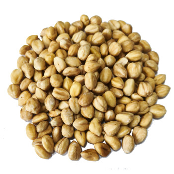 Wholesale Hazelnuts for Sale Premium Bulk Hazelnut Kernels Direct from Factory