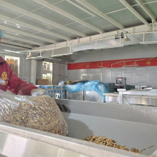 GOODLUCK GROUP Ramps Up Year-End Production to Fulfill Global Orders for Premium Agricultural Products