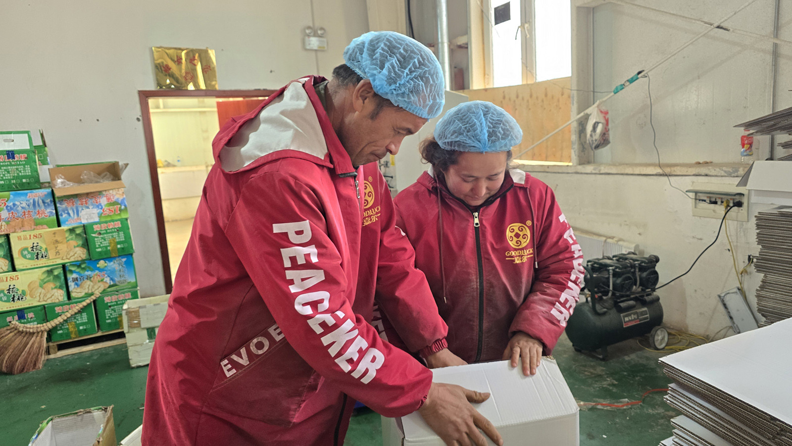 جوز بالجملة