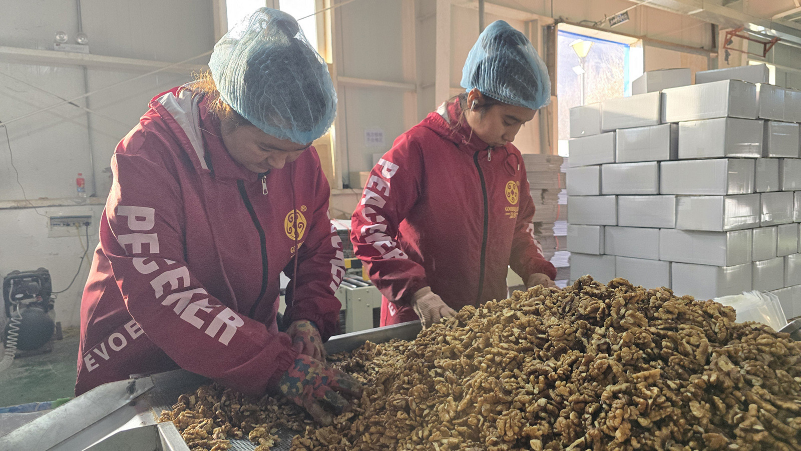 جوز بالجملة