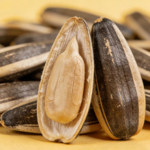 Chinese Sunflower Seeds Wholesale | High-Quality, Certified & Globally Recognized