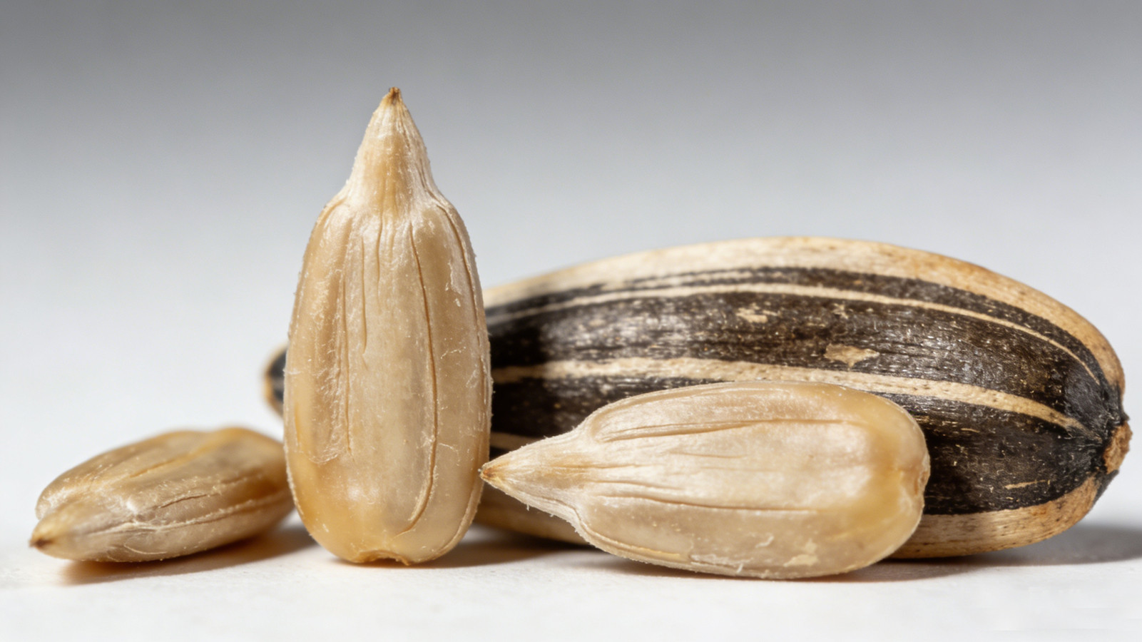 Wholesale Sunflower Seeds