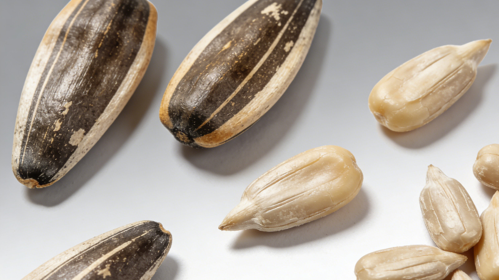 Wholesale Sunflower Seeds