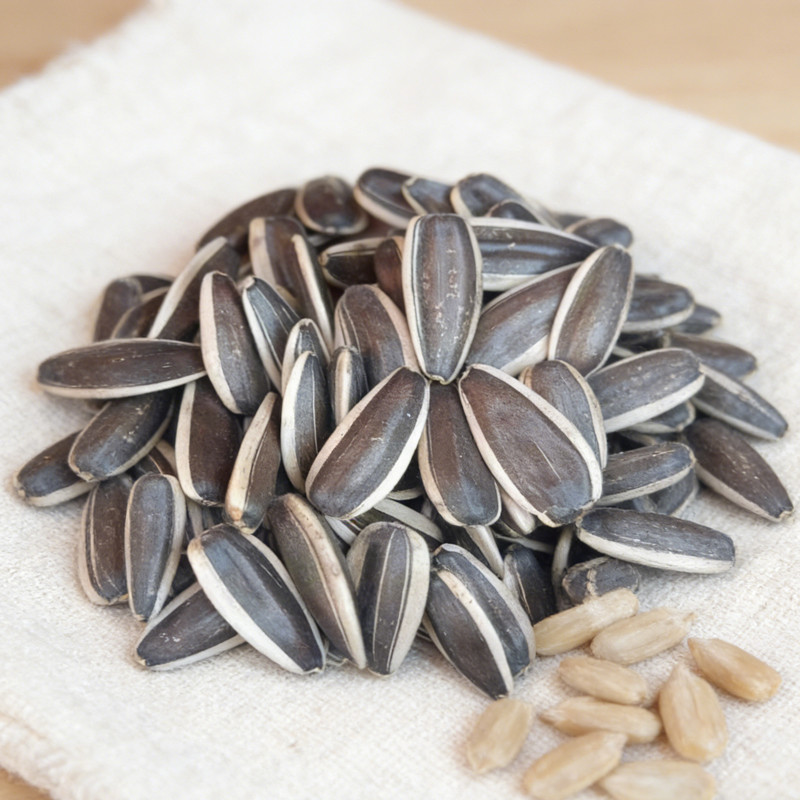 Wholesale Sunflower Seeds