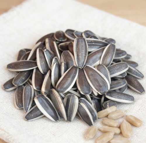 Wholesale Edible 361  Type Sunflower Seeds | Healthy Snacking Option | B2B Supply with Customization Options for Branding | OEM & ODM Available