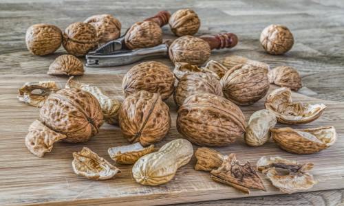 From Orchard to A-Grade: Digitizing the Premium Wholesale Walnut Supply Chain for Unmatched Quality and Traceability