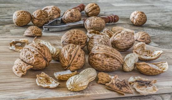 From Orchard to A-Grade: Digitizing the Premium Wholesale Walnut Supply Chain for Unmatched Quality and Traceability