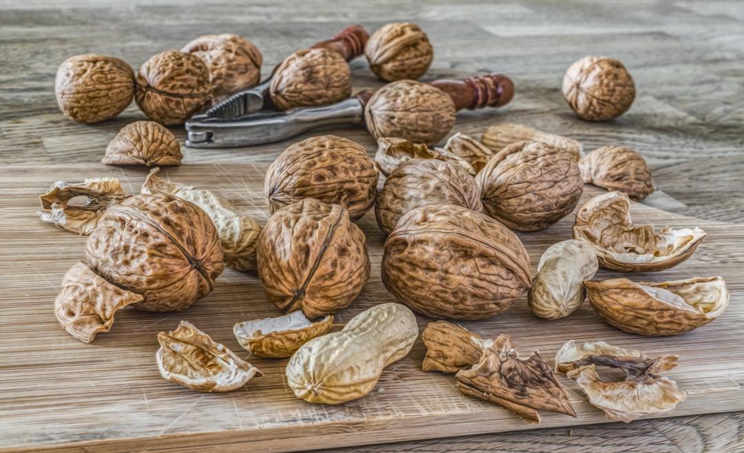 From Orchard to A-Grade: Digitizing the Premium Wholesale Walnut Supply Chain for Unmatched Quality and Traceability