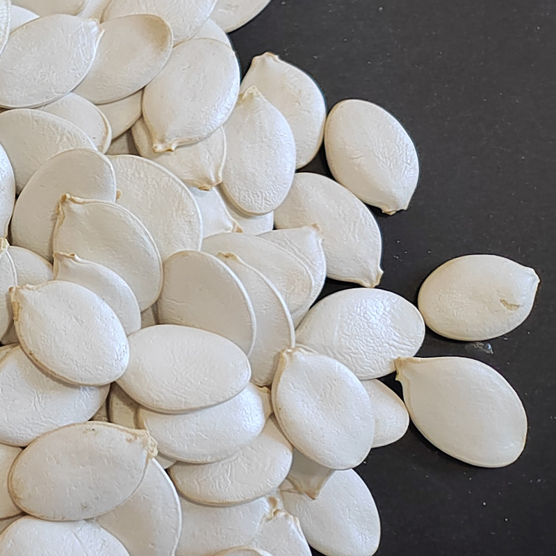 Wholesale Pumpkin Seeds