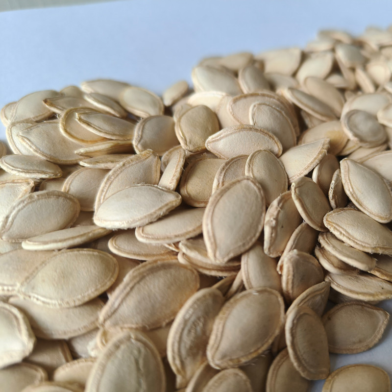Wholesale Pumpkin Seeds