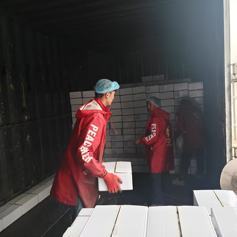 How to Choose a High-Quality Edible Pumpkin Seeds Manufacturing Factory