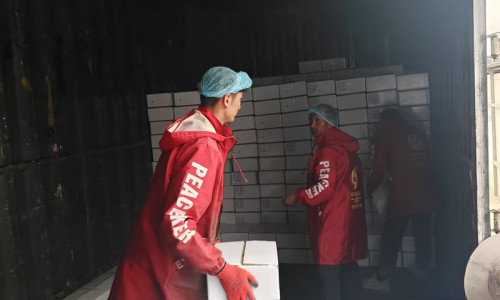 How to Choose a High-Quality Edible Pumpkin Seeds Manufacturing Factory