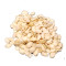 Wholesale Edible Watermelon Seed Kernels | Export Grade Bulk Supplier