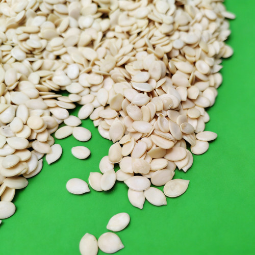 Wholesale Edible Watermelon Seeds | Export Grade Bulk Supplier