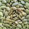 Bulk Pumpkin Seed Kernels Wholesale | Non-GMO Export Quality For Food Industry