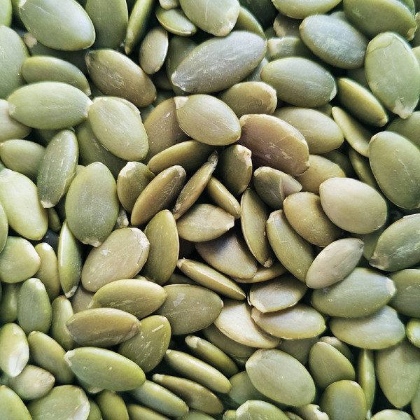 Bulk Pumpkin Seed Kernels Wholesale | Non-GMO Export Quality For Food Industry