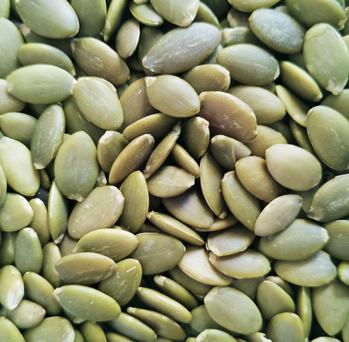 Bulk Pumpkin Seed Kernels Wholesale | Non-GMO Export Quality For Food Industry