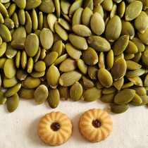 Bulk Pumpkin Seed Kernels Wholesale | Non-GMO Export Quality For Food Industry