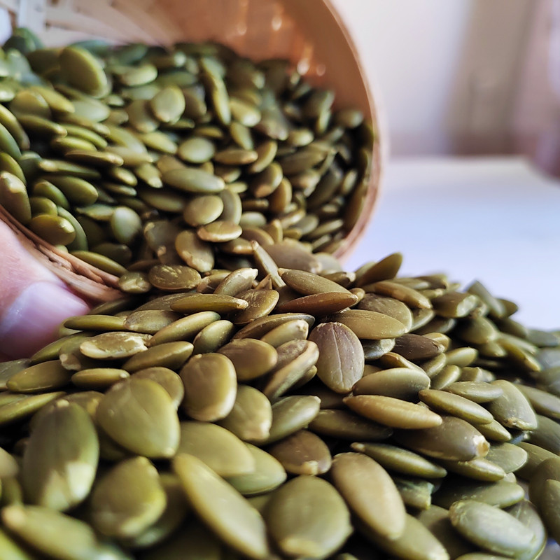 Wholesale Pumpkin Seed Kernels