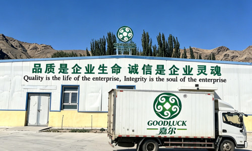 How to Choose a Reliable Walnut Supplier Amid Global Supply Chain Tensions