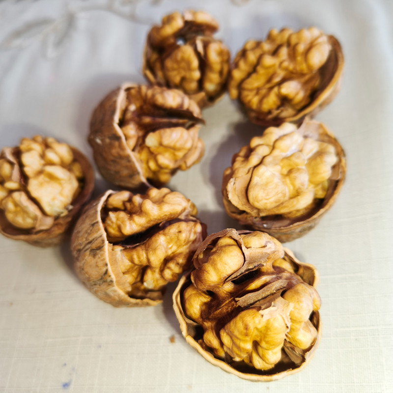 Wholesale Walnuts