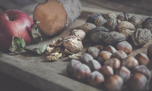 Why Premium Wholesale Walnuts Are the Key Ingredient for the Health-Conscious Consumer Market