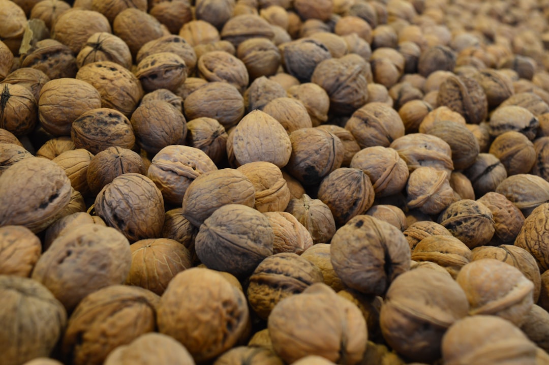 Stacks of wholesale-packaged premium walnuts ready for shipment