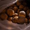 The Ultimate Guide to Premium Wholesale Walnuts: Boosting Your Business with Quality and Bulk