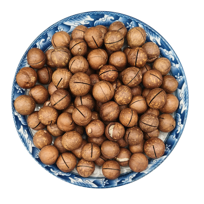Wholesale Macadamia Nuts