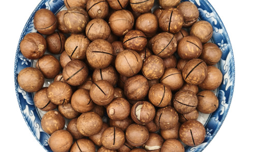 Premium Wholesale Macadamia Nuts with Custom Service | HACCP BRC HALAL Certified Supplier