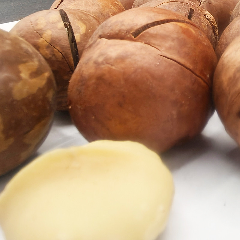 Wholesale Macadamia Nuts