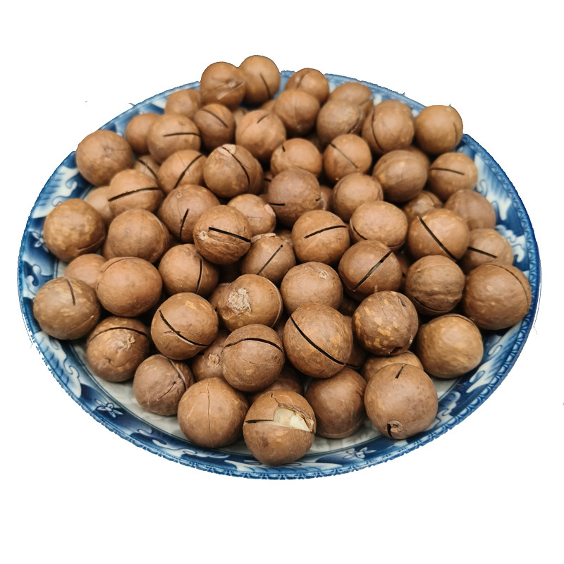 Wholesale Macadamia Nuts