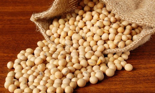 Wholesale Soybeans