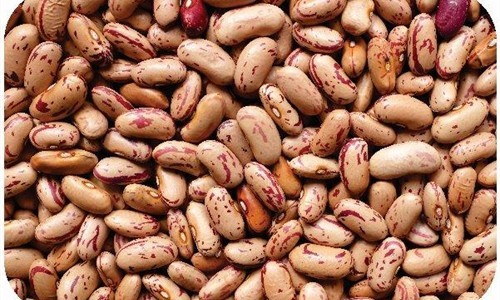 Wholesale Speckled Kidney Beans