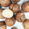HALAL HACCP BRC Certified Wholesale Macadamia Nuts Manufacturer for Europe & Middle East