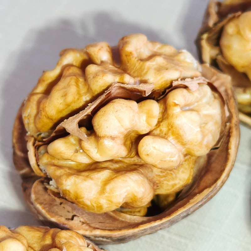 Wholesale Walnuts