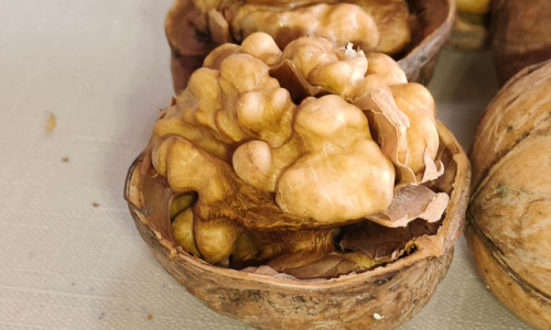 Top Quality Wholesale Walnuts | Farm Factory Direct Supply For Global Bulk Buyers