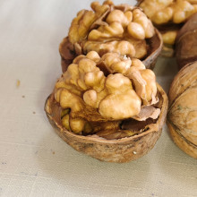 Top Quality Wholesale Walnuts | Farm Factory Direct Supply For Global Bulk Buyers